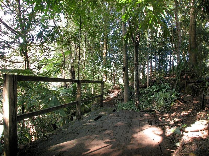 3 Wright Place, Bangalow NSW 2479