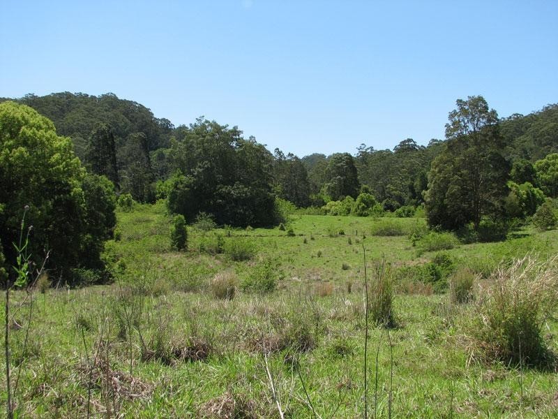 81 Fox Road, Rosebank NSW 2480