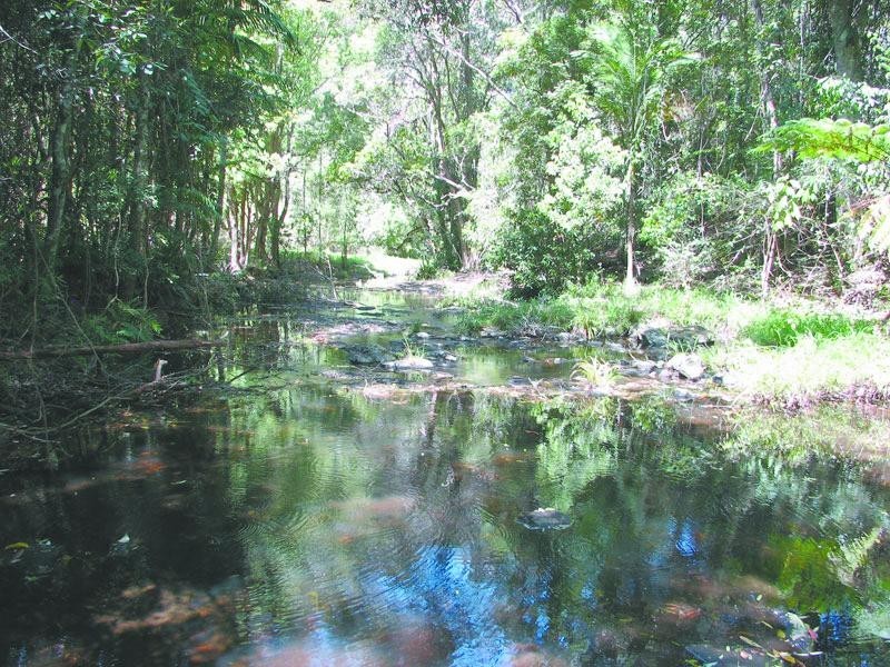 81 Fox Road, Rosebank NSW 2480