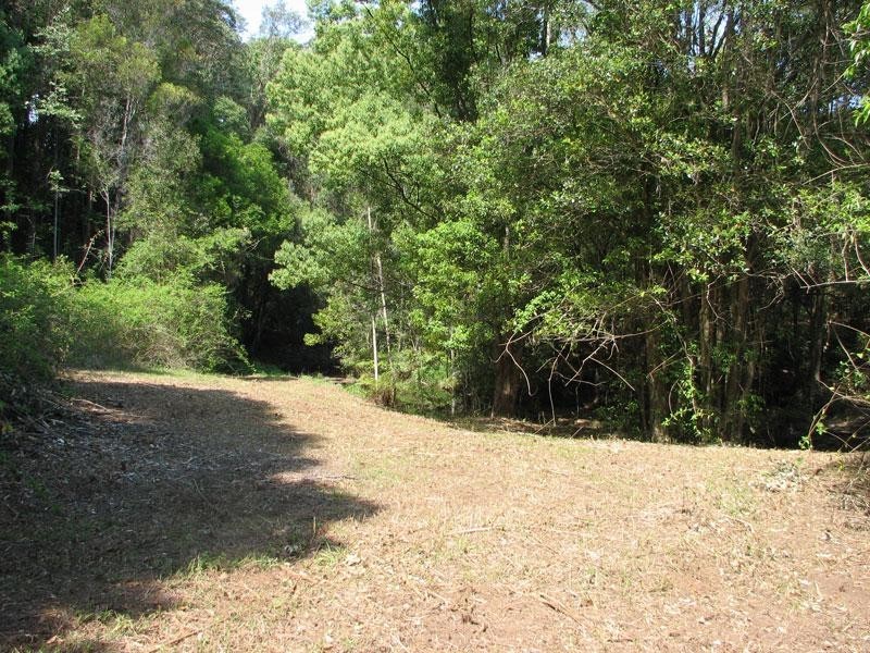 81 Fox Road, Rosebank NSW 2480