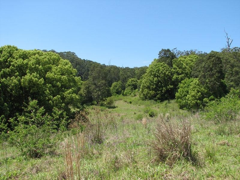 81 Fox Road, Rosebank NSW 2480