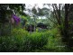 Upper Coopers Creek NSW 2480