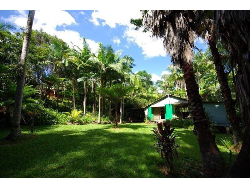 Upper Coopers Creek NSW 2480