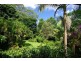 Upper Coopers Creek NSW 2480