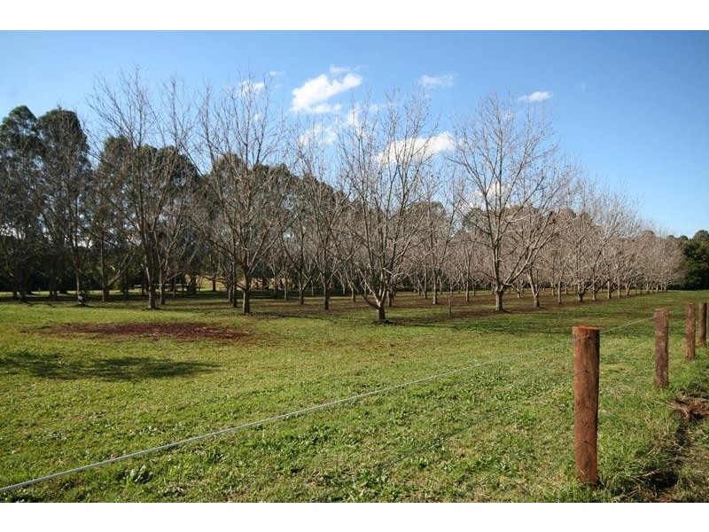 302 LINDENDALE ROAD, Lindendale NSW 2480