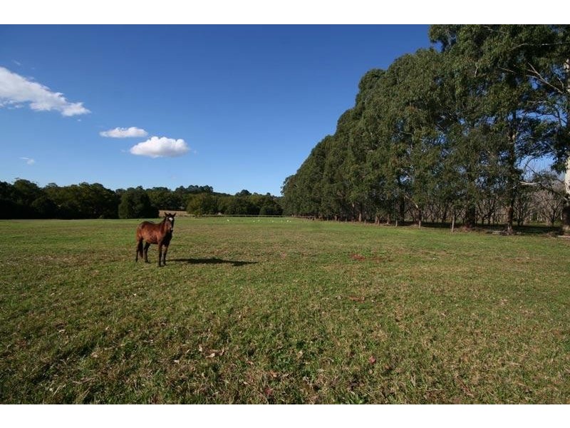 302 LINDENDALE ROAD, Lindendale NSW 2480