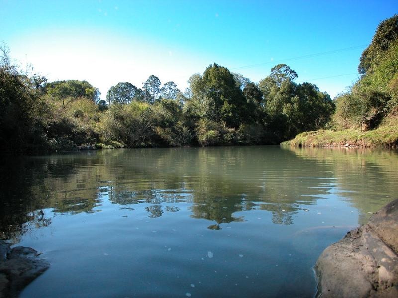 450 REPENTANCE CREEK ROAD, Rosebank NSW 2480