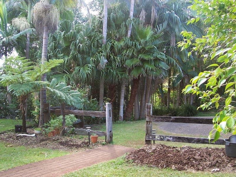 11 STARKEY ROAD, Whian Whian NSW 2480