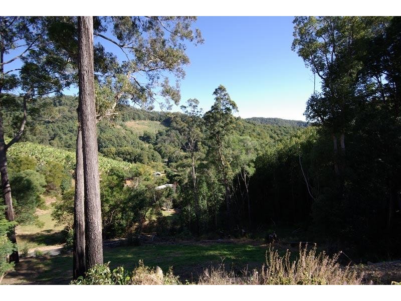 91 PIMBLE VALLEY WAY, Crabbes Creek NSW 2483