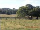 65 Lismore Road, Bangalow NSW 2479