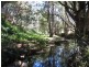 173 Fowlers Lane, Possum Creek NSW 2479