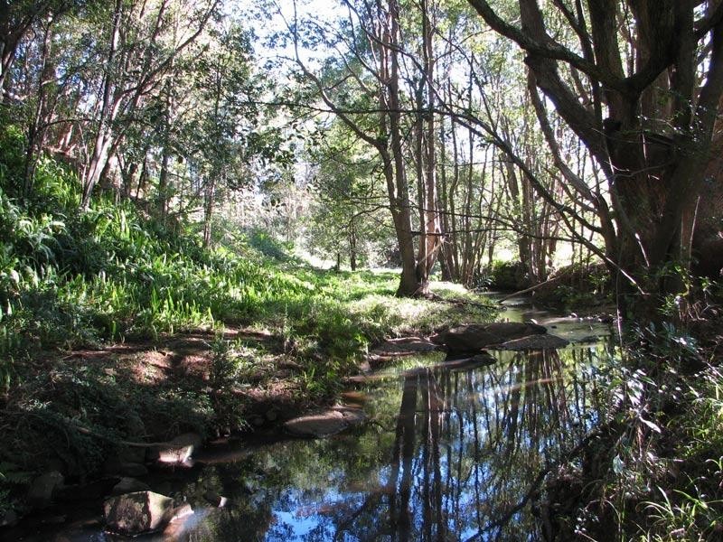 173 Fowlers Lane, Possum Creek NSW 2479