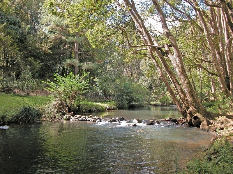 4 Pine Mountain Road, Possum Creek NSW 2479