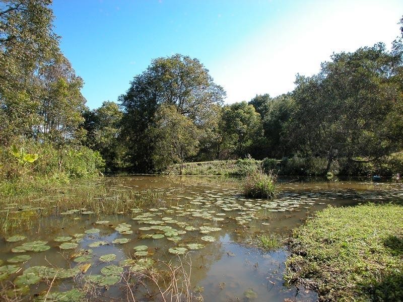 240 The Manse Road, Myocum NSW 2481