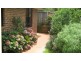 21 Ivory Curl Place, Bangalow NSW 2479
