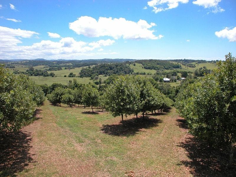 2 Elliot Road, Clunes NSW 2480