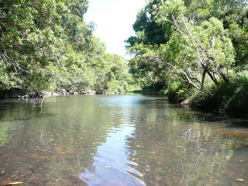 28 General Stubbs Drive, Rosebank NSW 2480