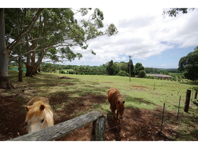 46 Fredericks Lane, Tintenbar NSW 2478