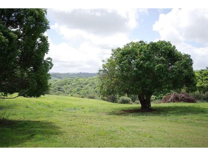 206 Friday Hut Road, Possum Creek NSW 2479