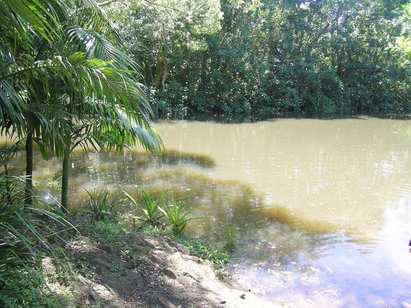 18 George Street, Tintenbar NSW 2478