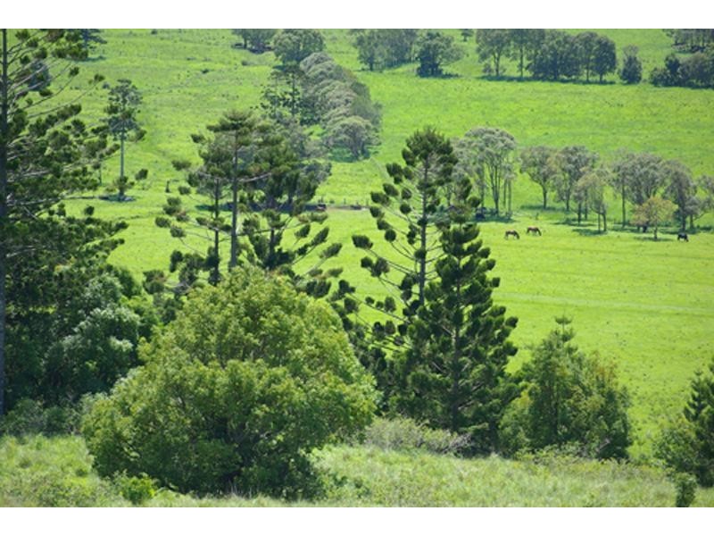 Lot 10/ Phillips Road, Newrybar NSW 2479
