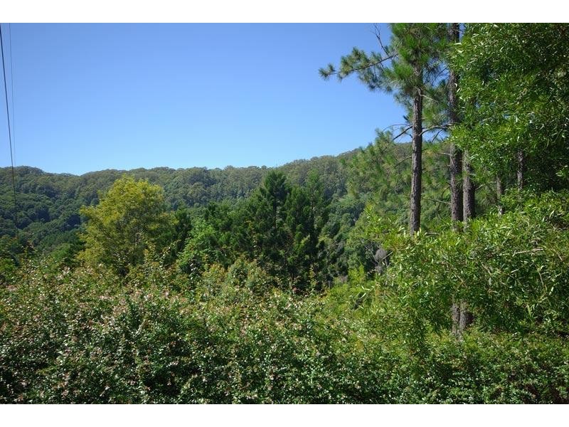 33 Blackbean Road, Wilsons Creek NSW 2482