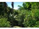 33 Blackbean Road, Wilsons Creek NSW 2482