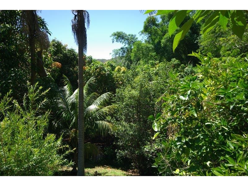 33 Blackbean Road, Wilsons Creek NSW 2482