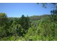 33 Blackbean Road, Wilsons Creek NSW 2482