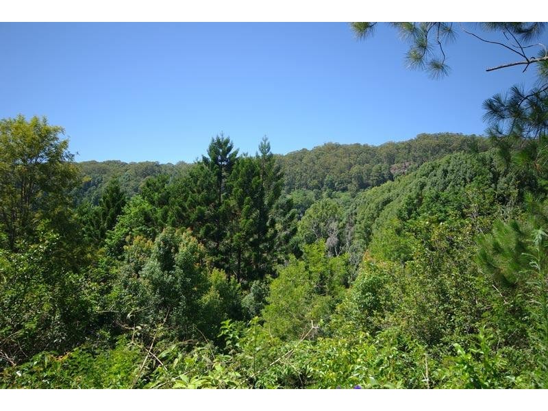 33 Blackbean Road, Wilsons Creek NSW 2482