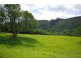 328 Upper Coopers Creek Road, Upper Coopers Creek NSW 2480