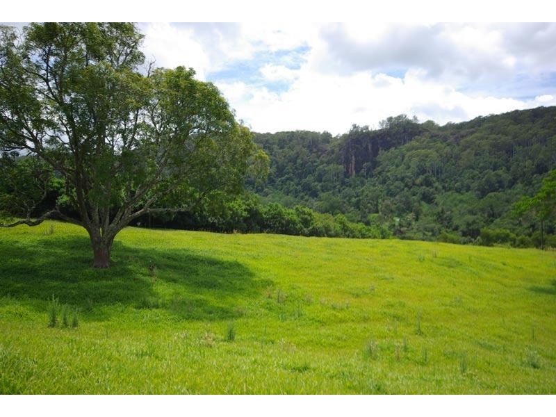 328 Upper Coopers Creek Road, Upper Coopers Creek NSW 2480