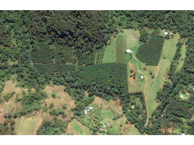 328 Upper Coopers Creek Road, Upper Coopers Creek NSW 2480