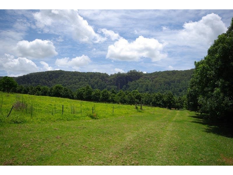 328 Upper Coopers Creek Road, Upper Coopers Creek NSW 2480
