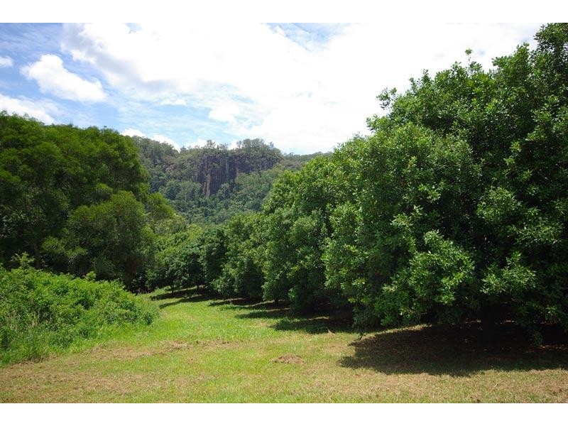 328 Upper Coopers Creek Road, Upper Coopers Creek NSW 2480