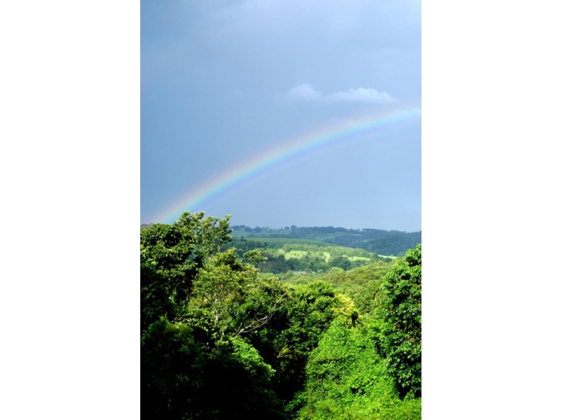 3 Rosella  Road, Federal NSW 2480