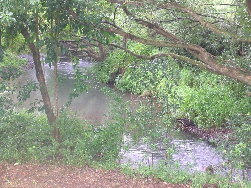 183 Tooheys Mill Road, Nashua NSW 2479