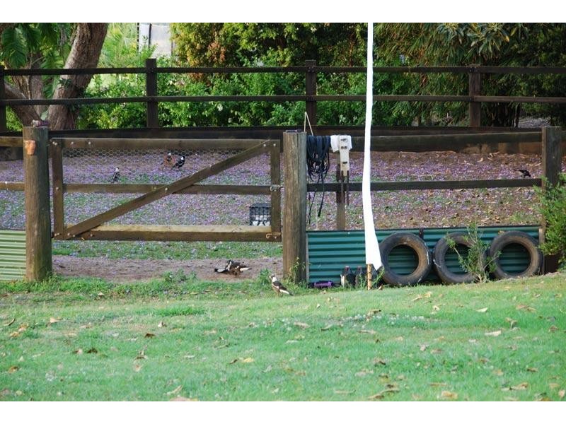 9 Bayfigs Place, Tyagarah NSW 2481