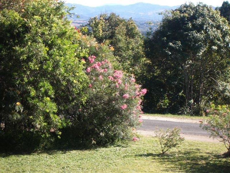 30 St Helena Road, Mcleods Shoot NSW 2479