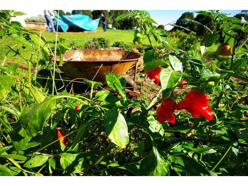 14 Hambly Lane, Newrybar NSW 2479