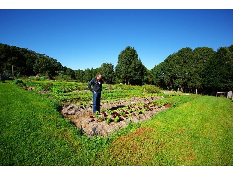 14 Hambly Lane, Newrybar NSW 2479