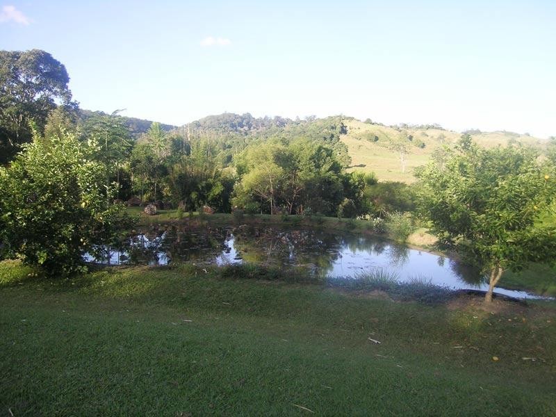 453 Tuntable Creek Road, Tuntable Creek NSW 2480