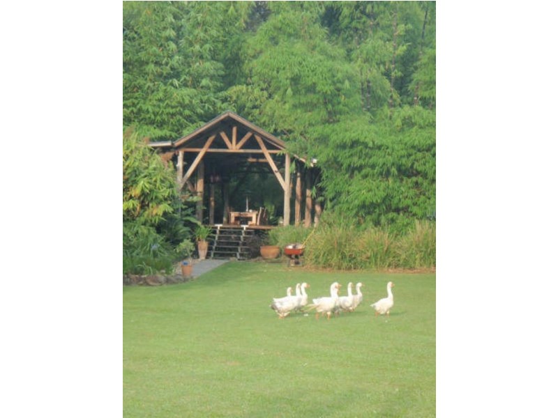 453 Tuntable Creek Road, Tuntable Creek NSW 2480