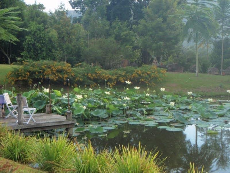 453 Tuntable Creek Road, Tuntable Creek NSW 2480