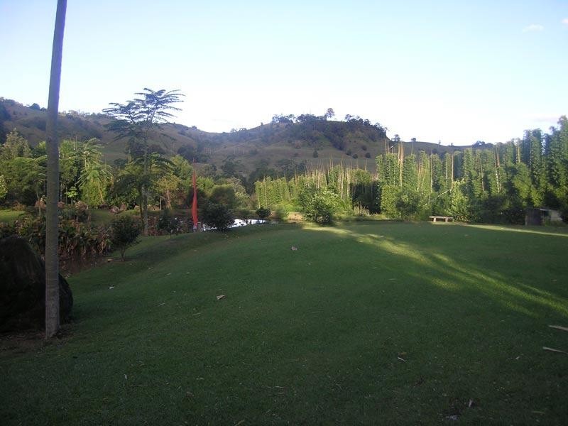 453 Tuntable Creek Road, Tuntable Creek NSW 2480