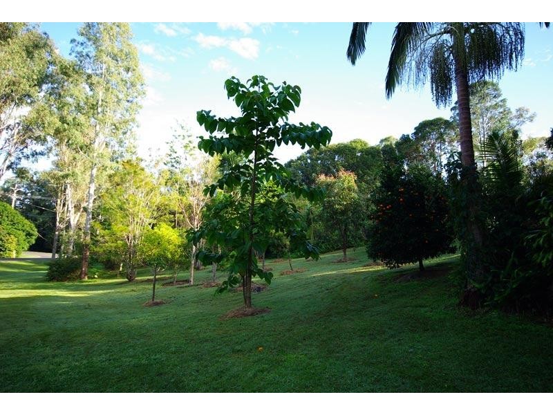 111 Parkway Drive, Ewingsdale NSW 2481