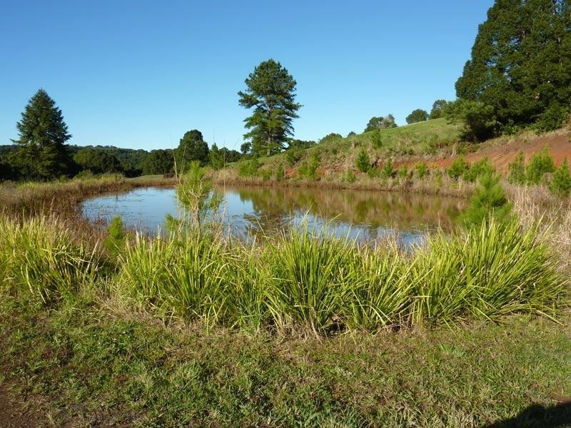 Lot 9/231 Fowlers Lane, Bangalow NSW 2479