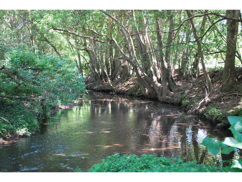 853 Bangalow Road, Bangalow NSW 2479