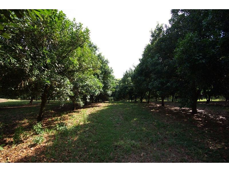 1781 Dunoon Road, Dunoon NSW 2480