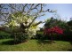1781 Dunoon Road, Dunoon NSW 2480